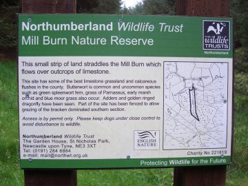 Mill Burn Nature Reserve